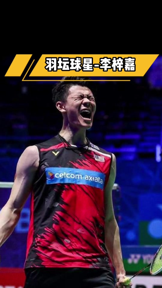 法国队险胜丹麦队，李梓嘉惊艳四座